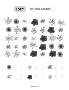 math counting I spy worksheet for kids with flower summer theme
