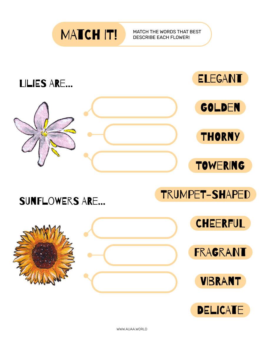 flower adjectives exercise for primary school kids, spring and summer themed activity sheet