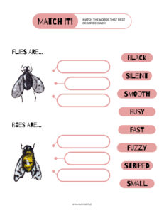 Find and Recognize Adjectives Worksheet with Insect Theme