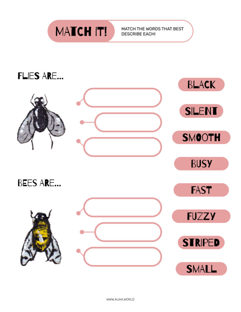 Find and Recognize Adjectives Worksheet with Insect Theme